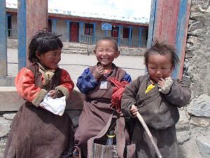 current projects in dolpo