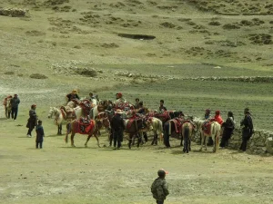 Komang villagers horse gathering
